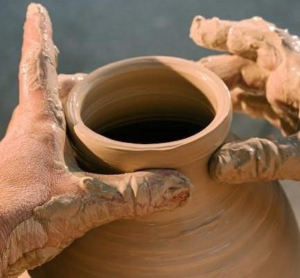 electrolux ultimatecare 300 dryer manual