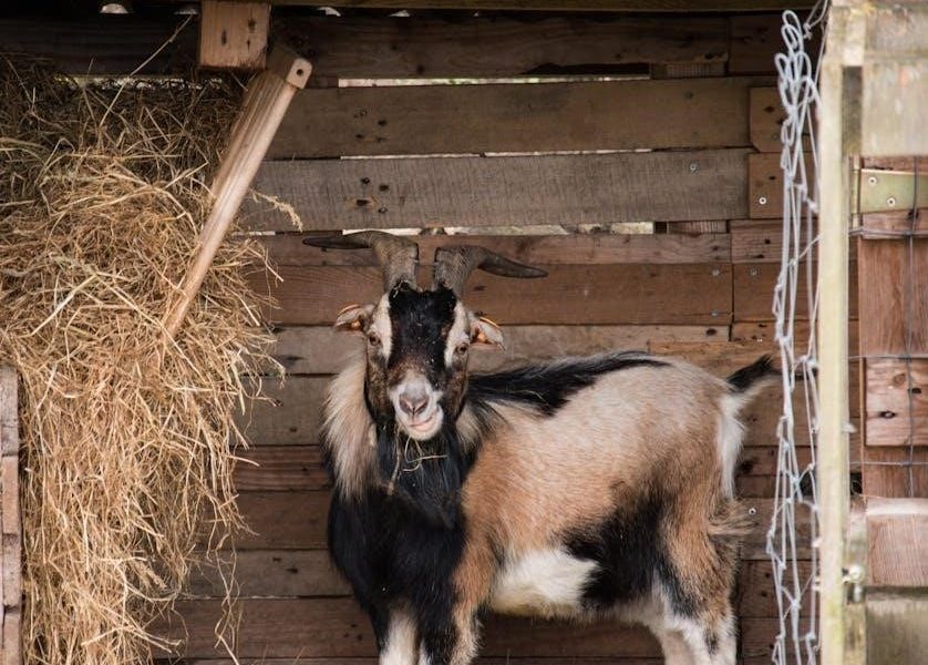 the three billy goats gruff pdf