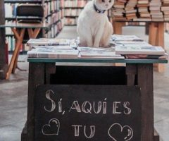 descargar libros en inglés por niveles pdf