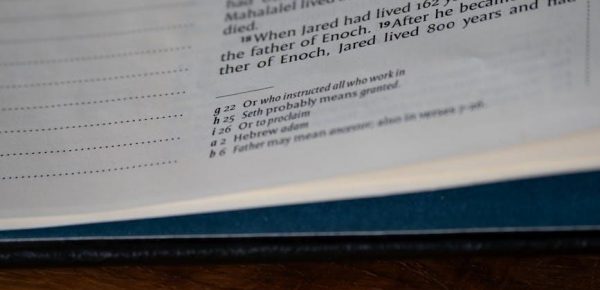 daniel bible study pdf