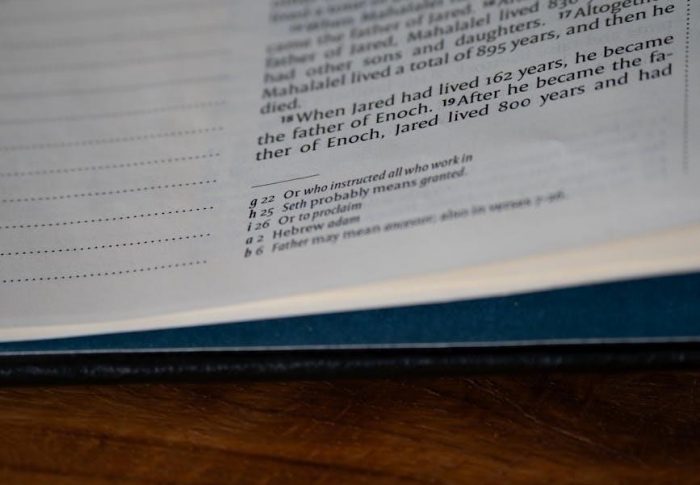 daniel bible study pdf